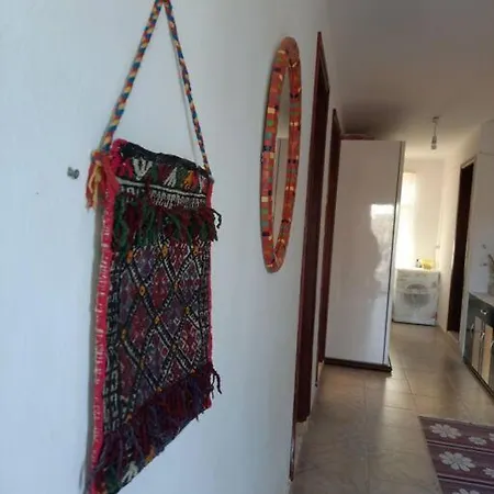 Apartament Fazla Kayit Silinmeli